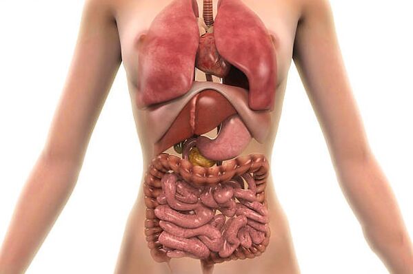 Parasites dans le corps humain