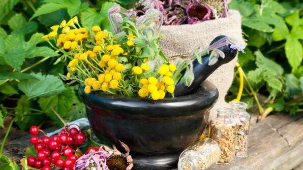 Herbes contre les vers