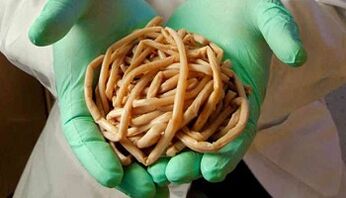 Méthodes pour éliminer les parasites du corps